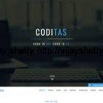 Coditas Technologies Private Limited is looking for Smart .NET Developers
